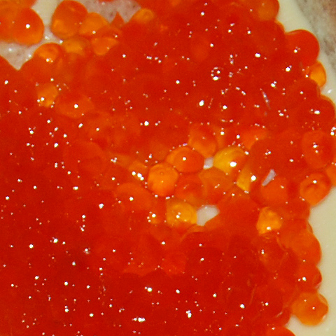 Clasificación y propiedades de las De Trucha (Salmo trutta) Clasificación y propiedades de las De Trucha (Salmo trutta)