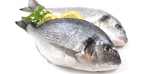 Pescados Pescados